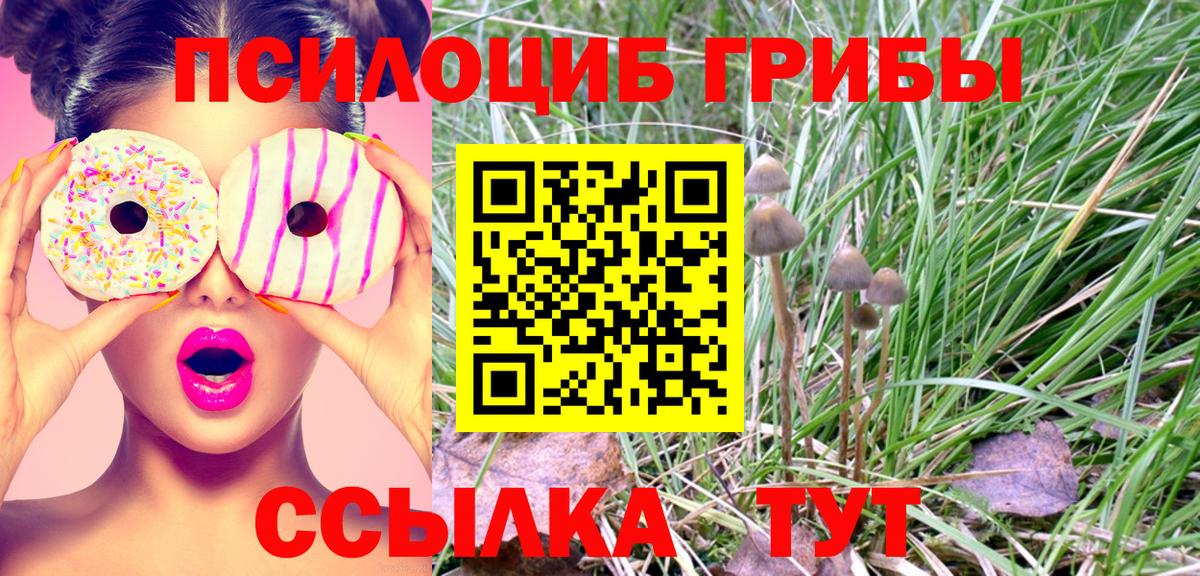 Галлюциногенные грибы Cubensis  Вход с VPN  Бирск  Галлюциногенные грибы Magic Shrooms 